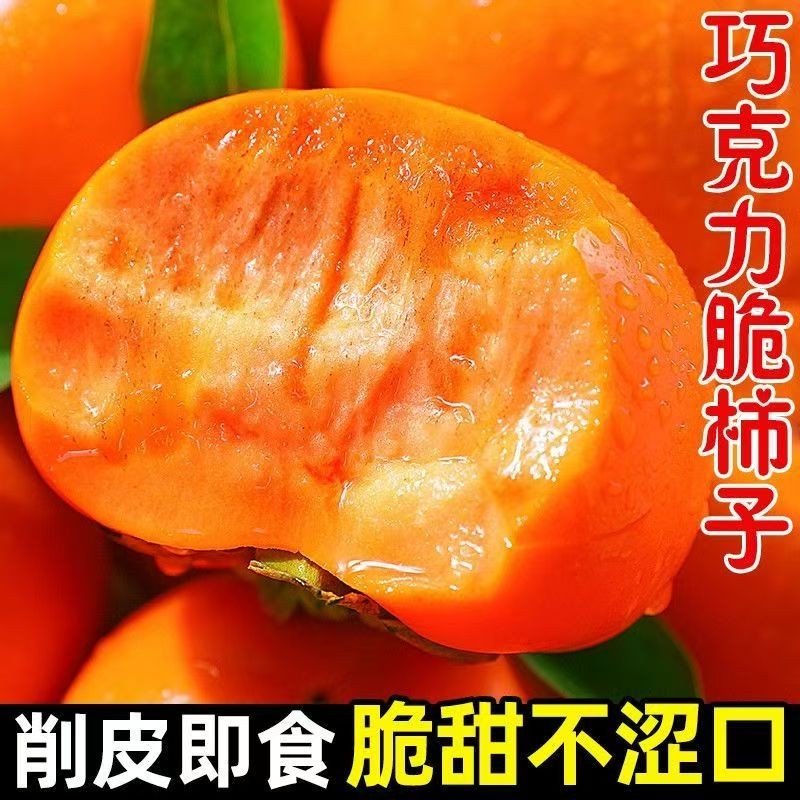 脆柿子 无核硬柿  单果约120g  含箱5斤