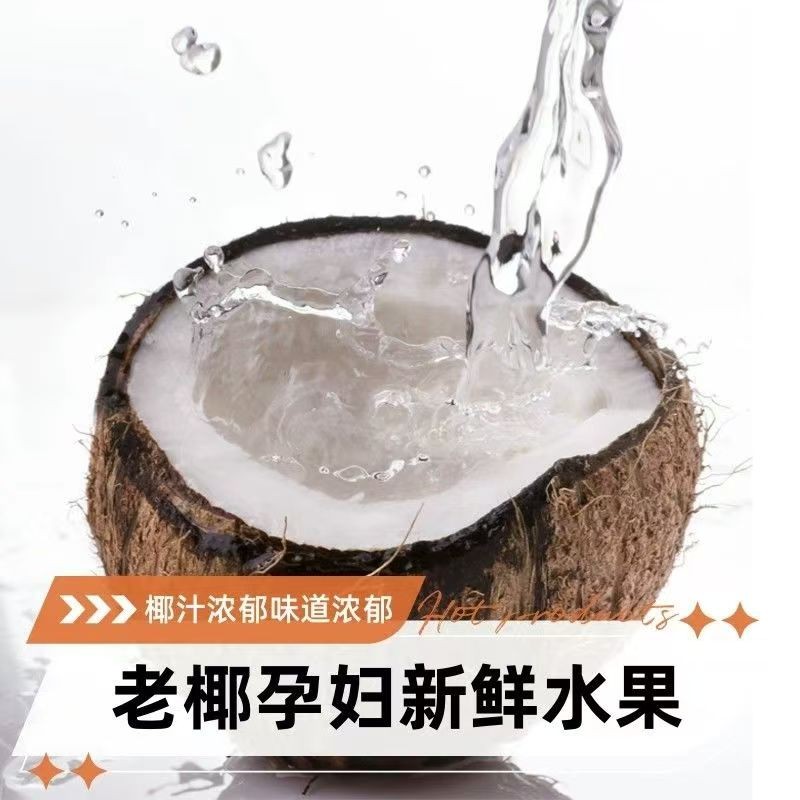 海南正宗老椰子 6个