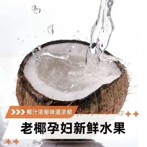 海南正宗老椰子 6个